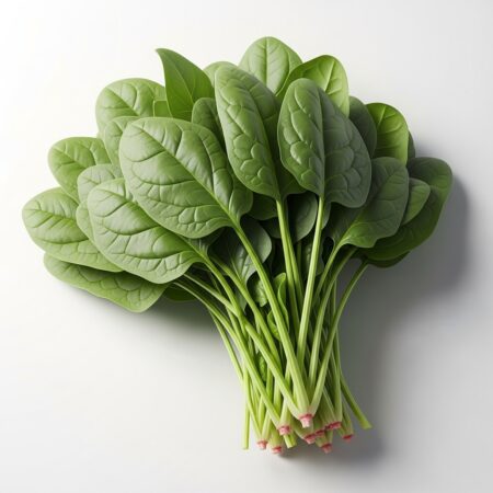 Bayam Hijau Segar