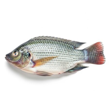 Ikan Nila Segar