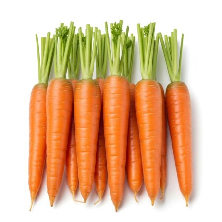 Wortel Segar